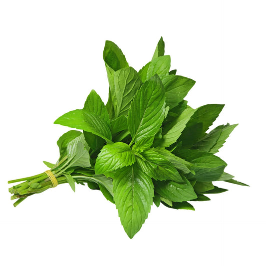 MINT (Bunch)