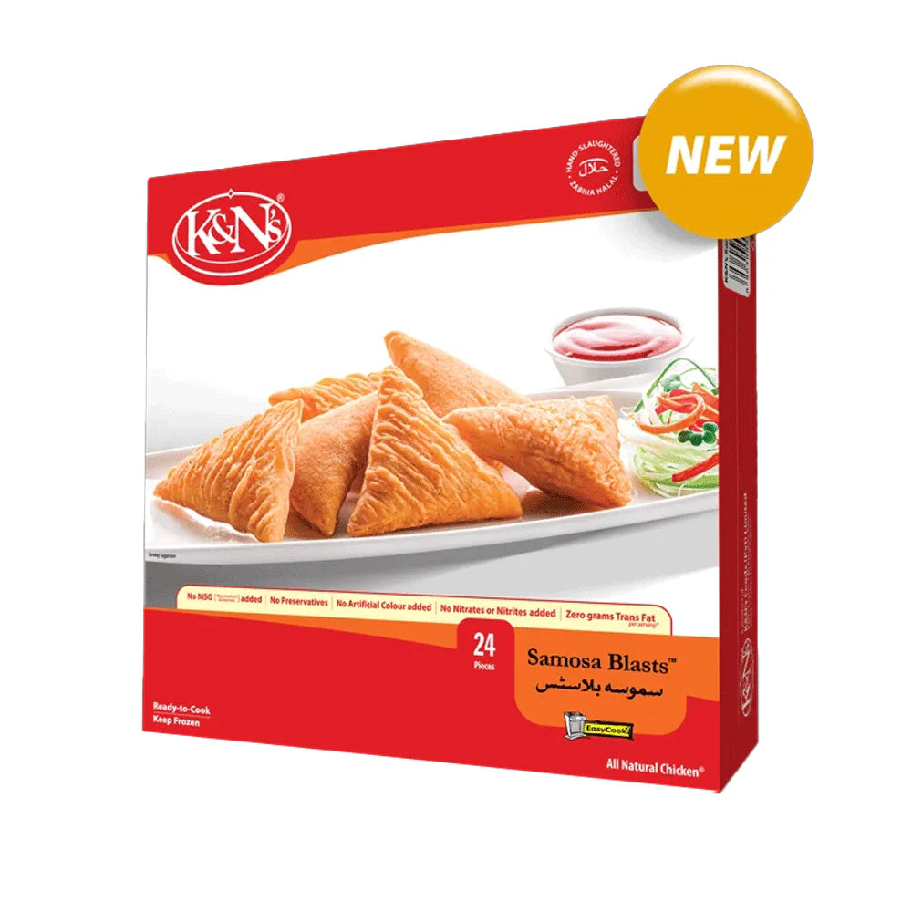 K&N'S SAMOSA BLASTS 24'S 480G