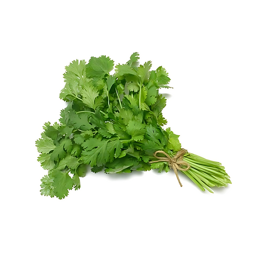 CORIANDER (HARA DHANIYA) BUNCH