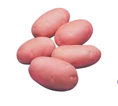 POTATO(LAL ALOO) 1KG