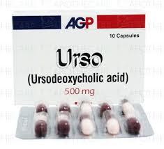 URSO CAPSULE 500MG 10S